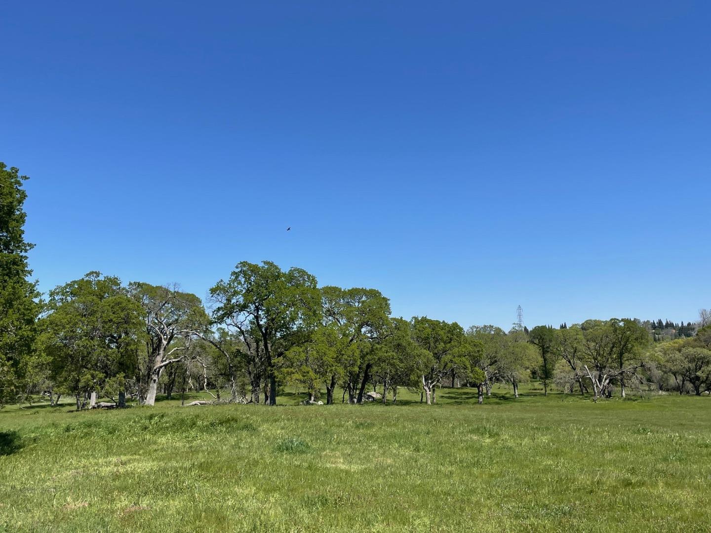0 Cardwell Avenue Orangevale, CA 95662 - Photo 2 of 9 a view of a grassy field with trees in the background