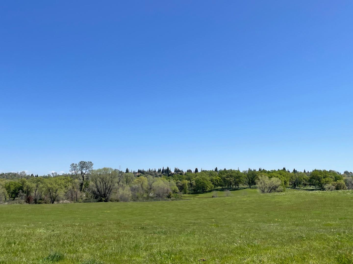 0 Cardwell Avenue Orangevale, CA 95662 - Photo 3 of 9 a view of a field with a tree in the background
