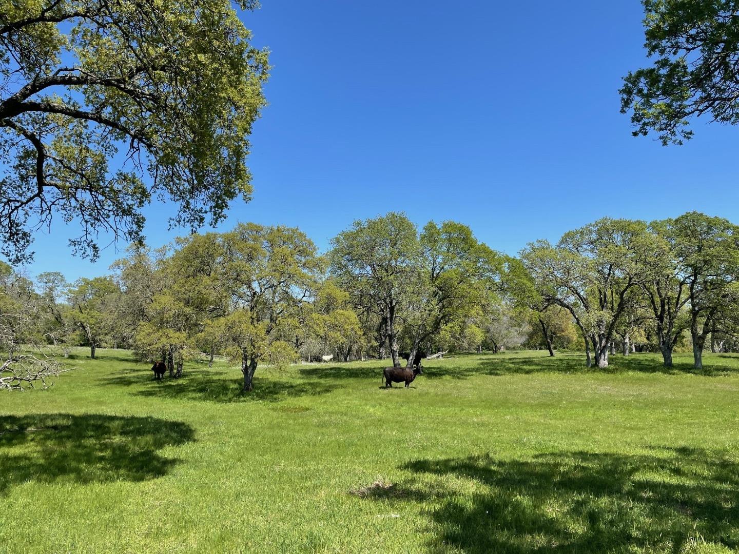 0 Cardwell Avenue Orangevale, CA 95662 - Photo 7 of 9 a view of a park