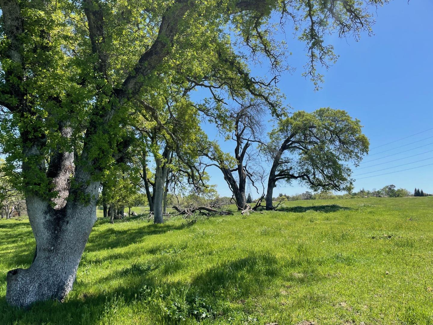 0 Cardwell Avenue Orangevale, CA 95662 - Photo 8 of 9 a view of an outdoor space