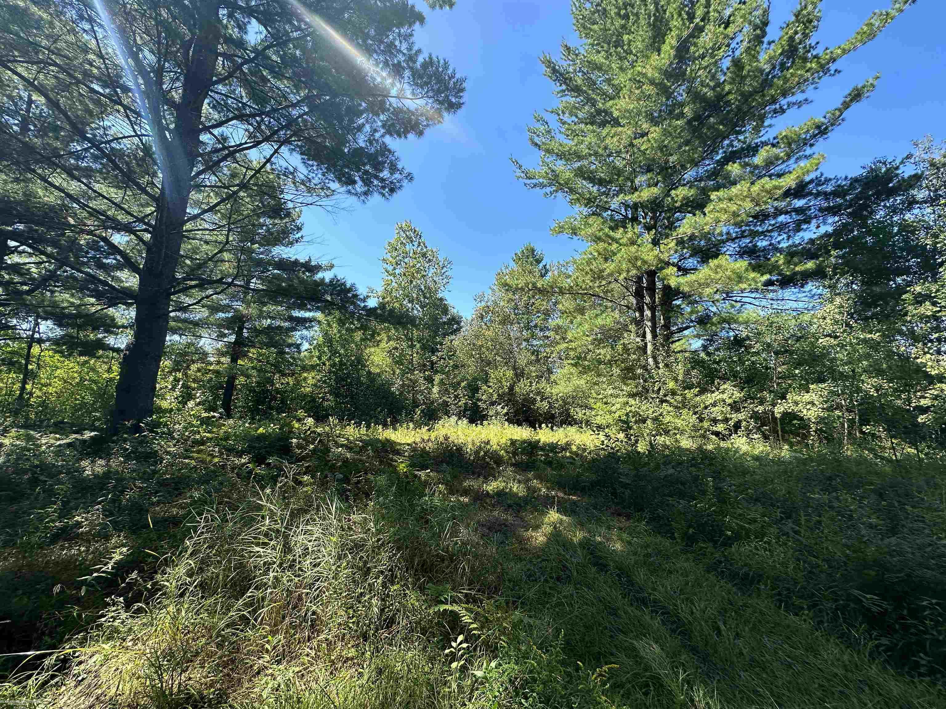 0 Long Lake Road Hale, MI 48739 - Photo 15 of 20
