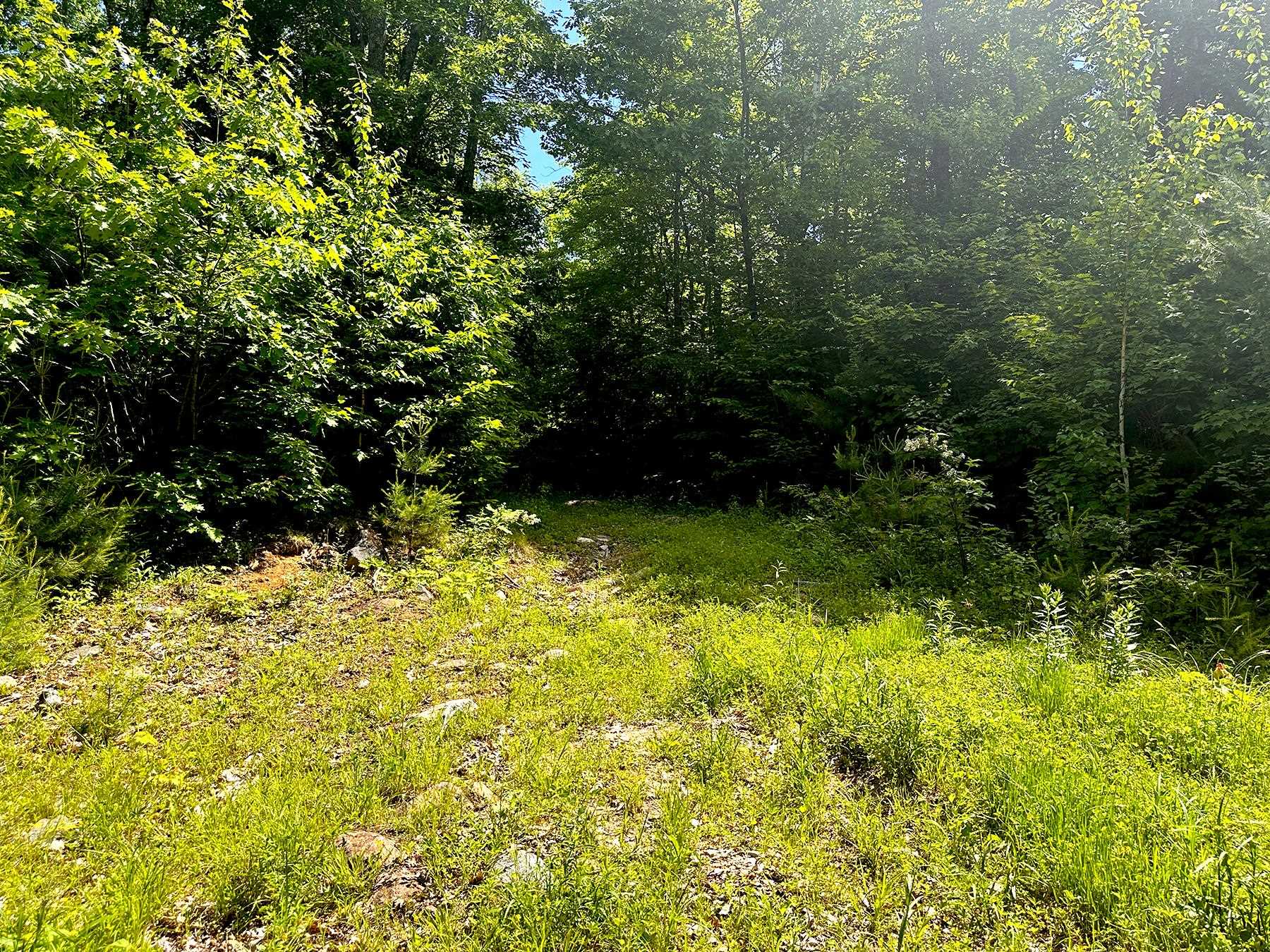 0 Kearsarge Mountain Road Warner, NH 03278 - Photo 17 of 17 Gallery Image 17