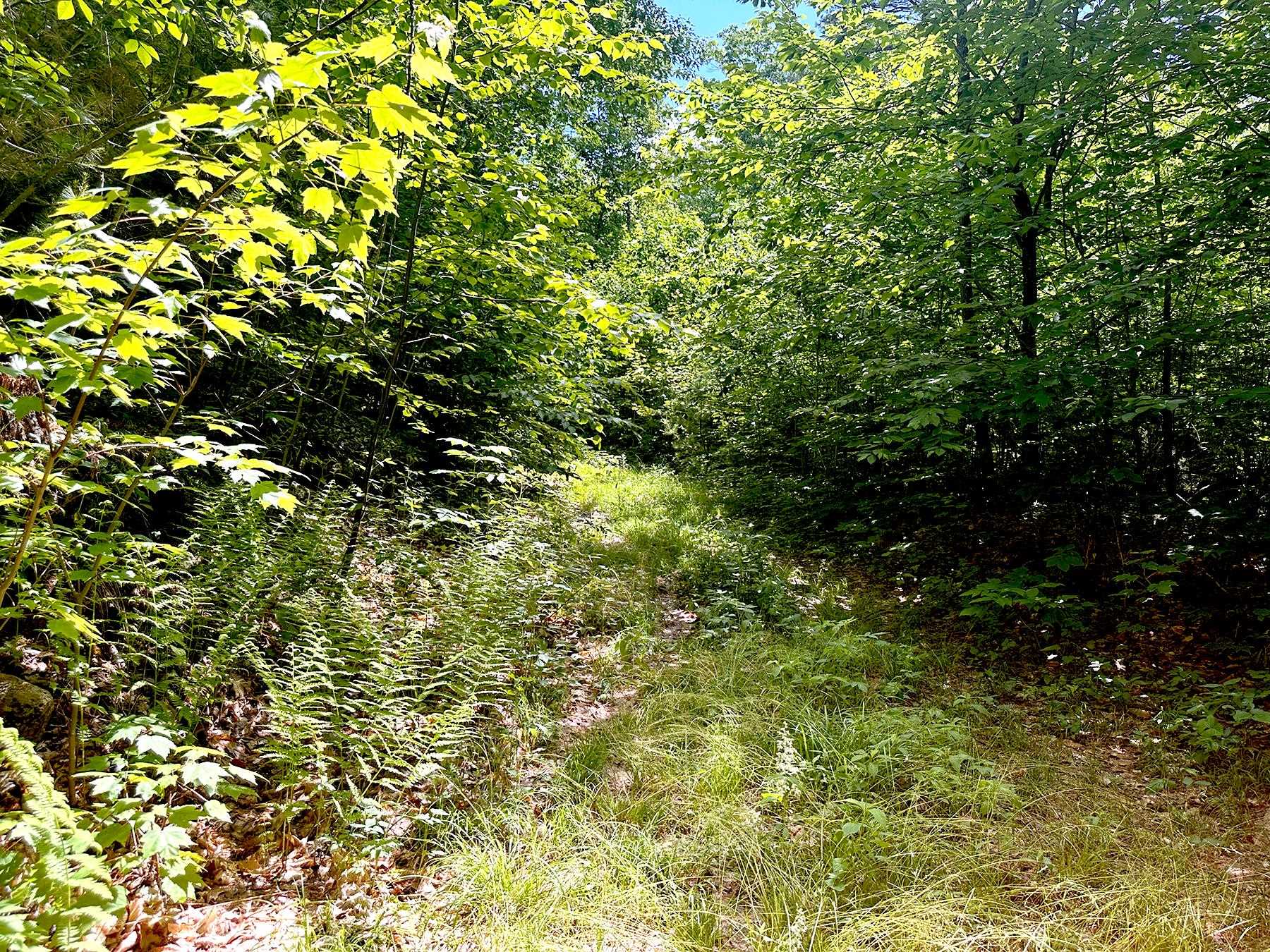 0 Kearsarge Mountain Road Warner, NH 03278 - Photo 3 of 17 Gallery Image 3