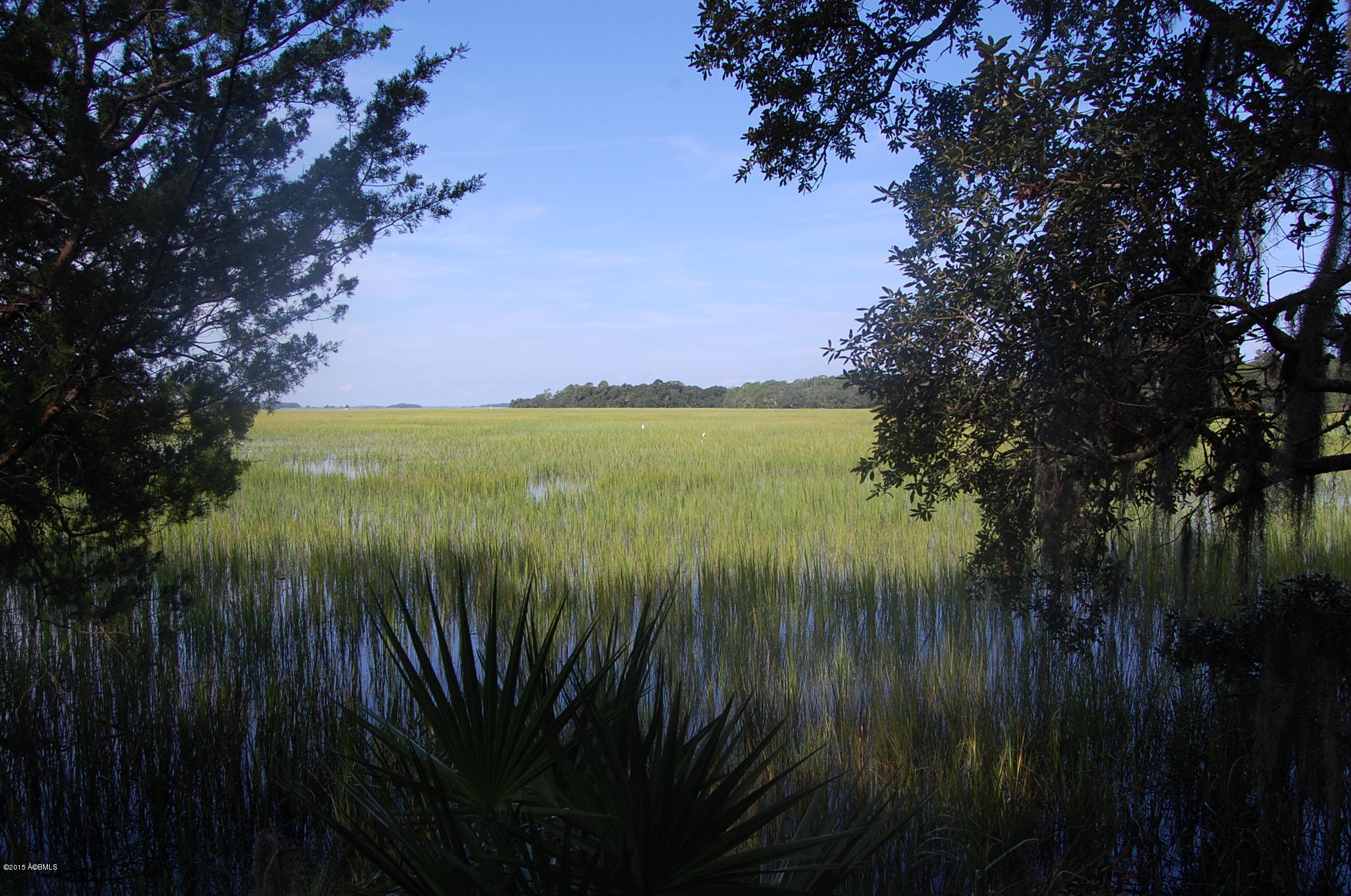 4 Timber Trail Beaufort, SC 29907 - Photo 11 of 22 DSC_0018