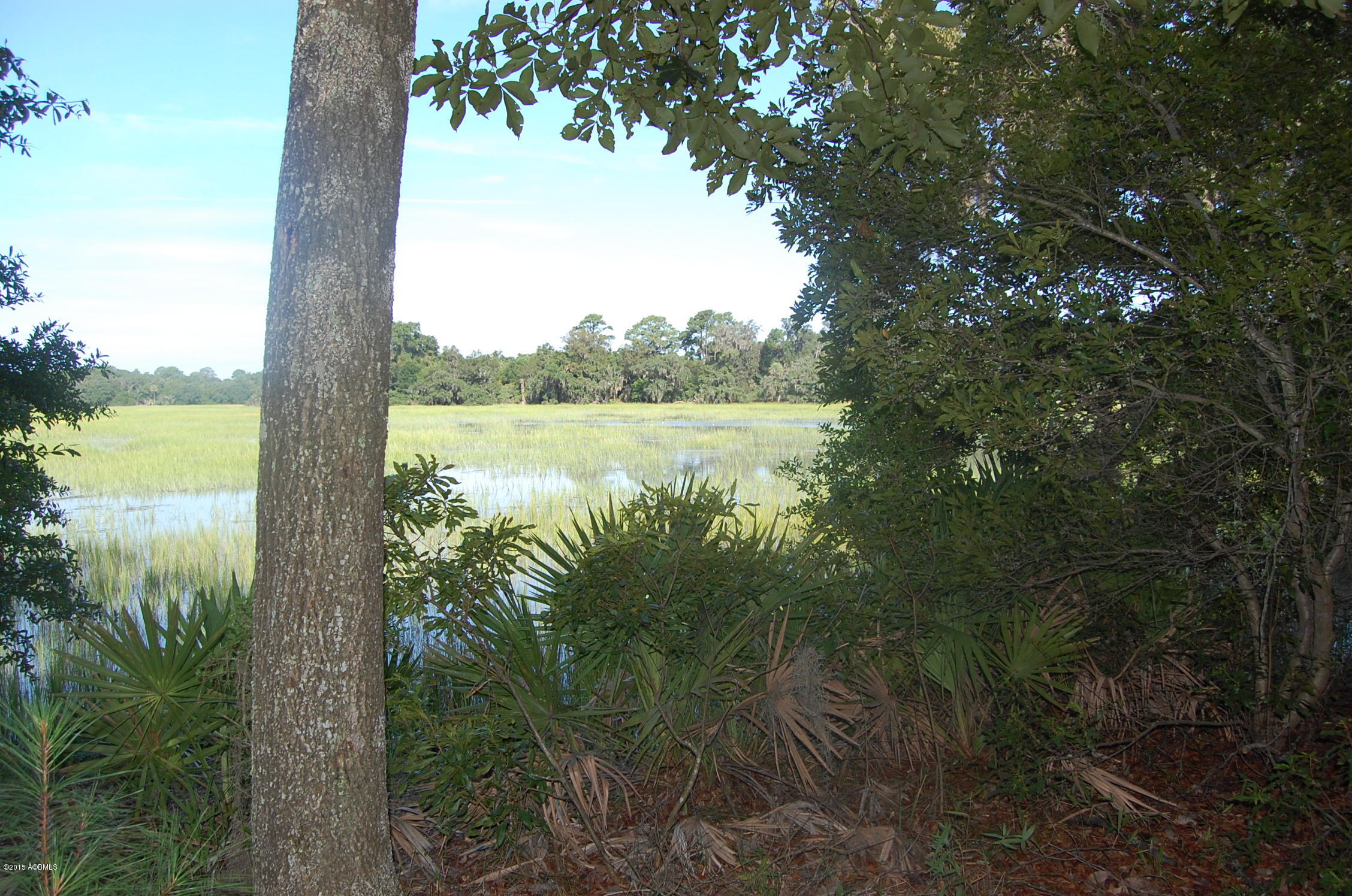 4 Timber Trail Beaufort, SC 29907 - Photo 7 of 22 DSC_0012