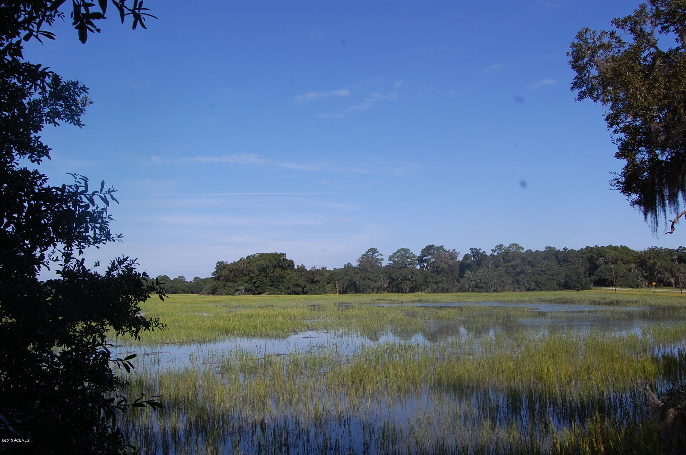 4 Timber Trail Beaufort, SC 29907 - Photo 9 of 22 DSC_0014
