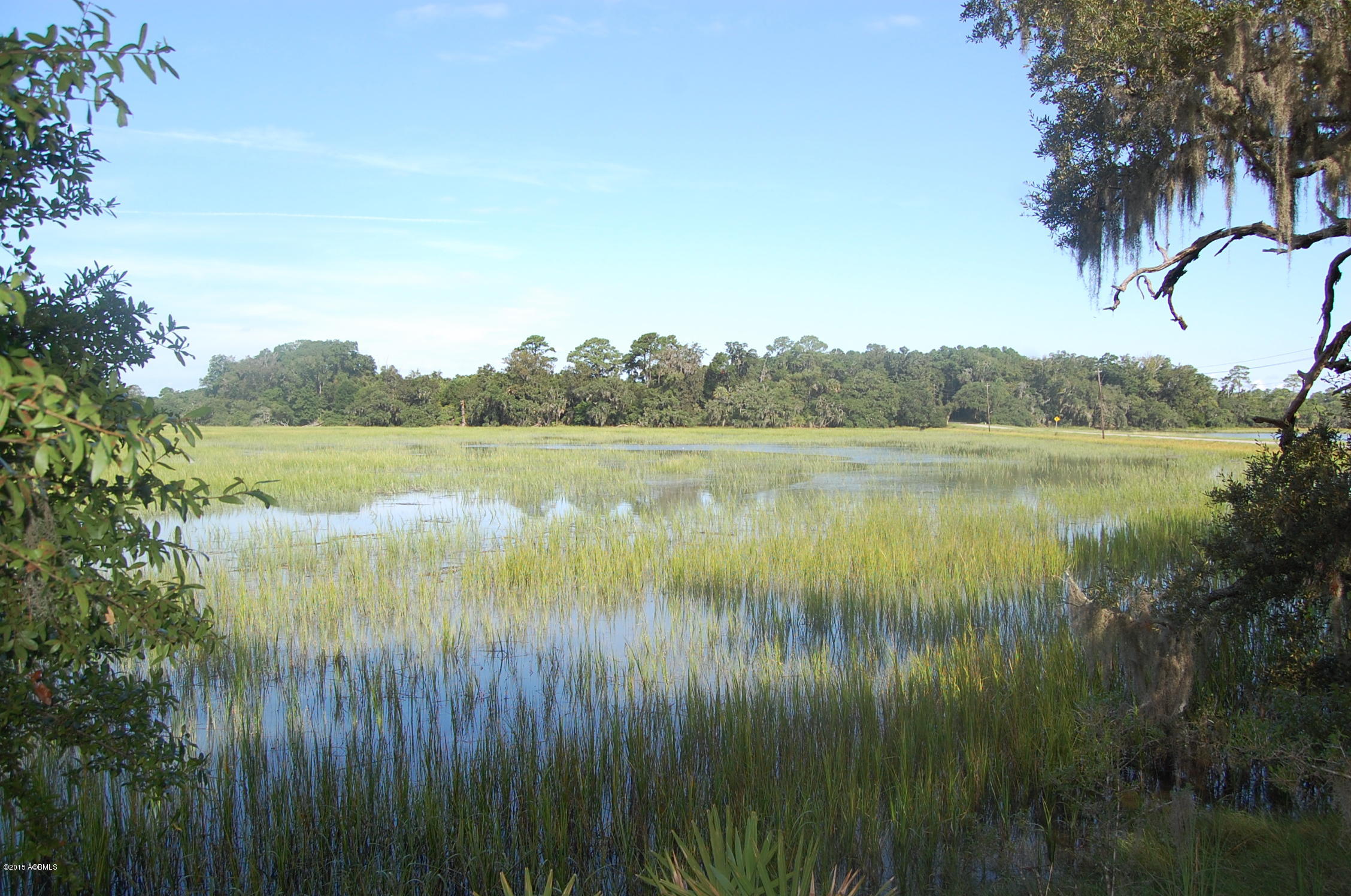 4 Timber Trail Beaufort, SC 29907 - Photo 10 of 22 DSC_0015