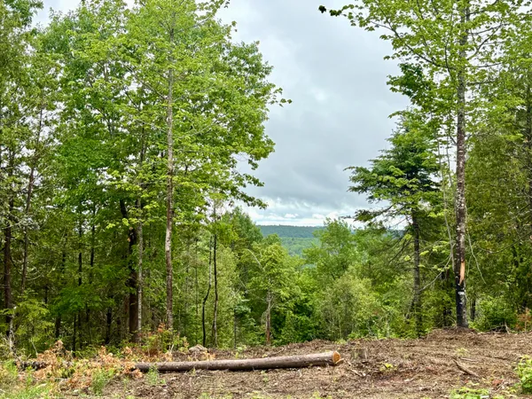 $65,000 | Lot 13 Mt Jefferson Heights, Lee, ME 04455