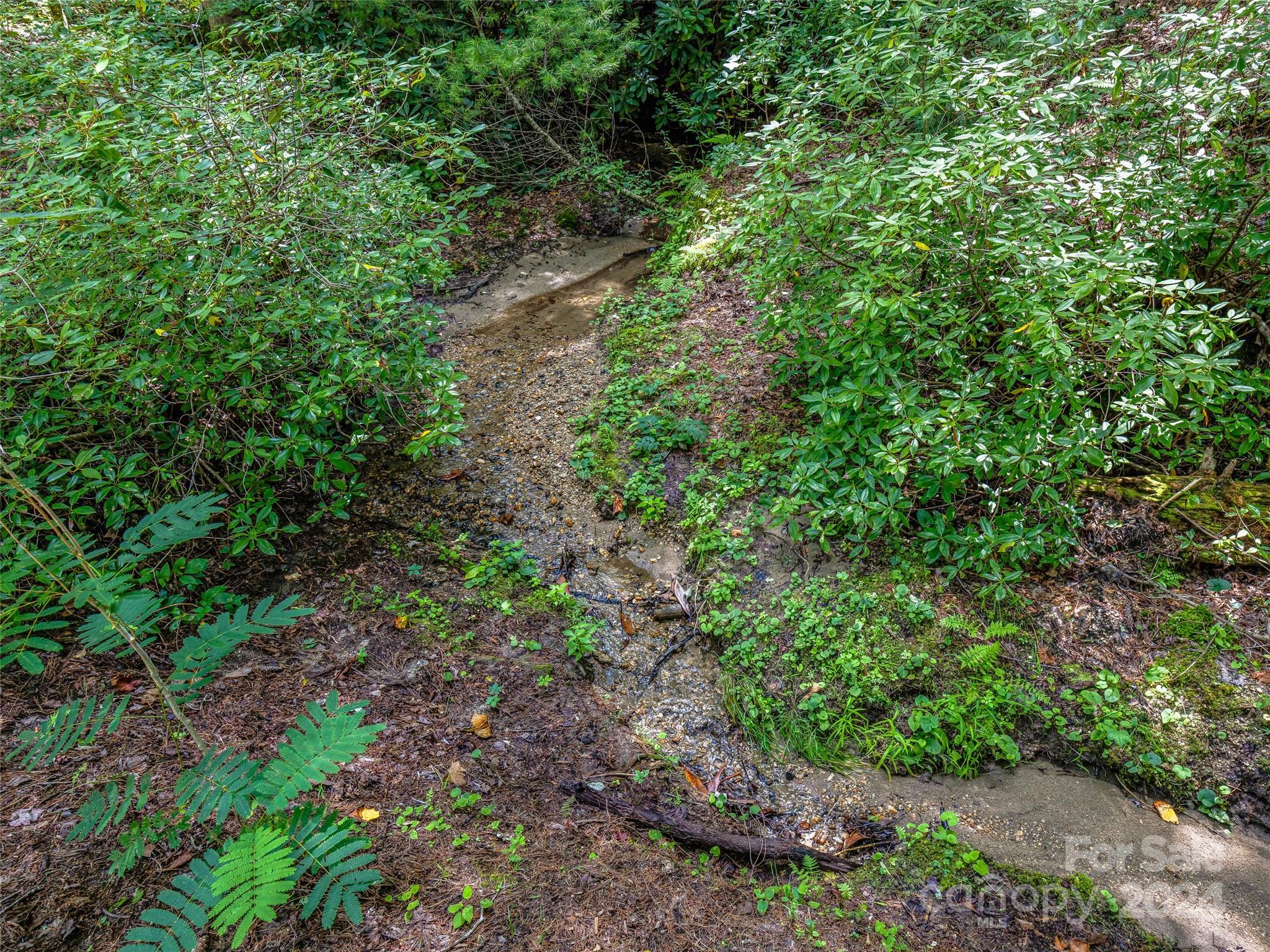 685 Shumont Road Black Mountain, NC 28711 - Photo 12 of 30