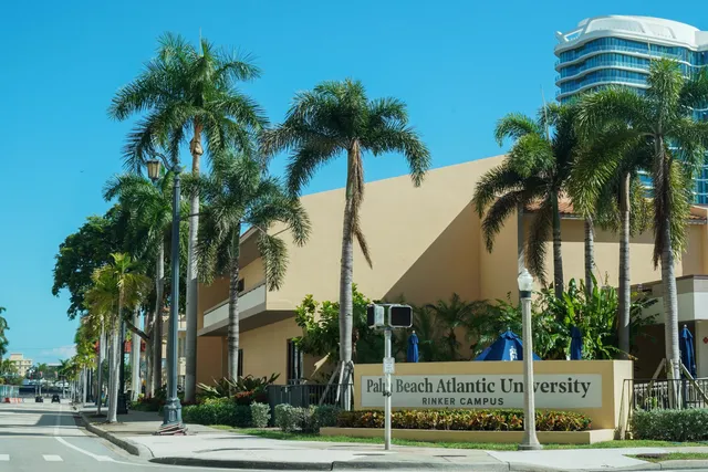 a view of a street with palm trees