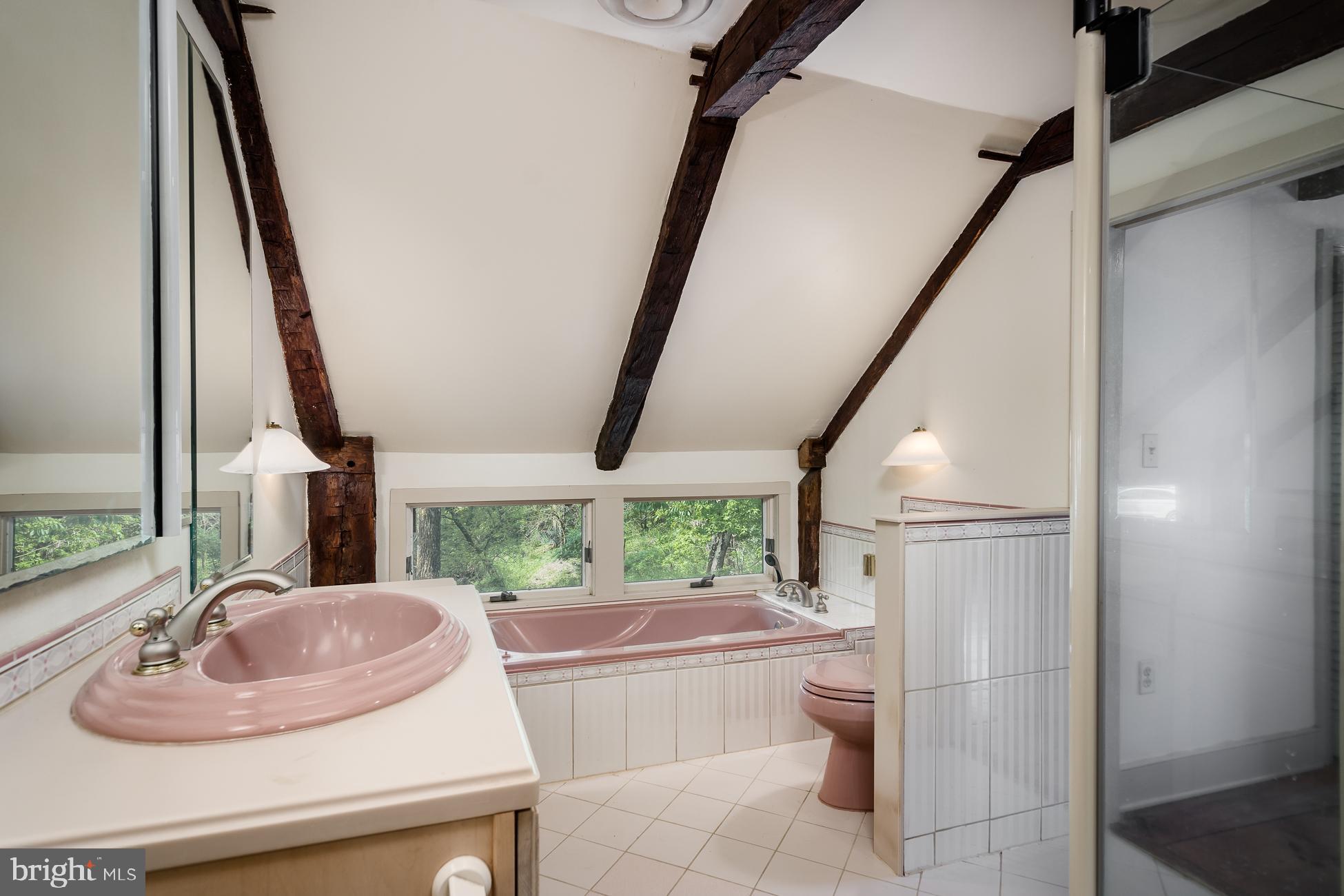 43 Dead Tree Run Road Belle Mead, NJ 08502 - Photo 32 of 34 a bathroom with a sink a toilet and a mirror