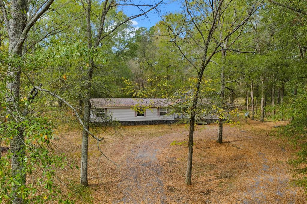 334 Destiny Lane Keatchie, LA 71046 - Photo 27 of 29 View of yard with driveway and a view of trees