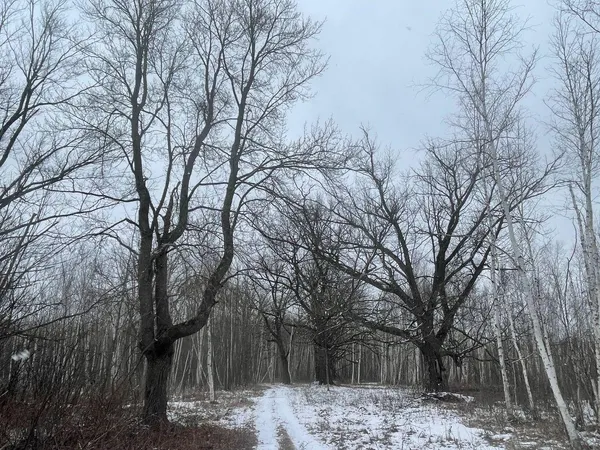 $299,900 | 27-xx 320th Avenue, Brook Park, MN 55007