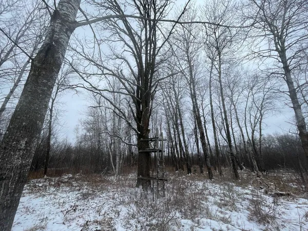 $299,900 | 27-xx 320th Avenue, Brook Park, MN 55007