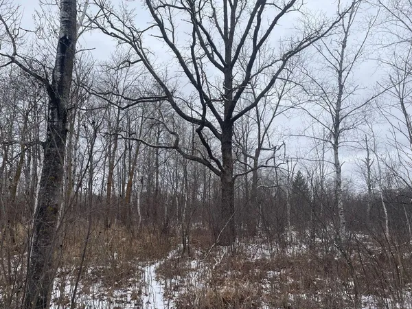 $299,900 | 27-xx 320th Avenue, Brook Park, MN 55007