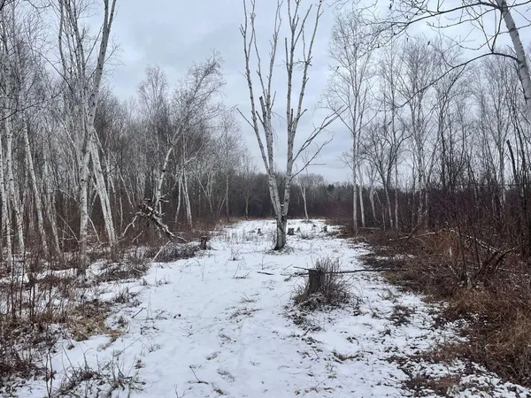 $299,900 | 27-xx 320th Avenue, Brook Park, MN 55007