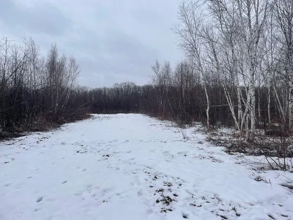 $299,900 | 27-xx 320th Avenue, Brook Park, MN 55007