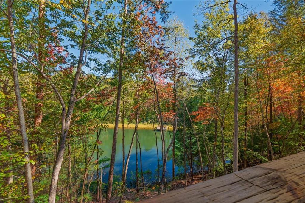 85 Moreland Trail Blue Ridge, GA 30513 - Photo 11 of 37 a view of an outdoor space and a yard