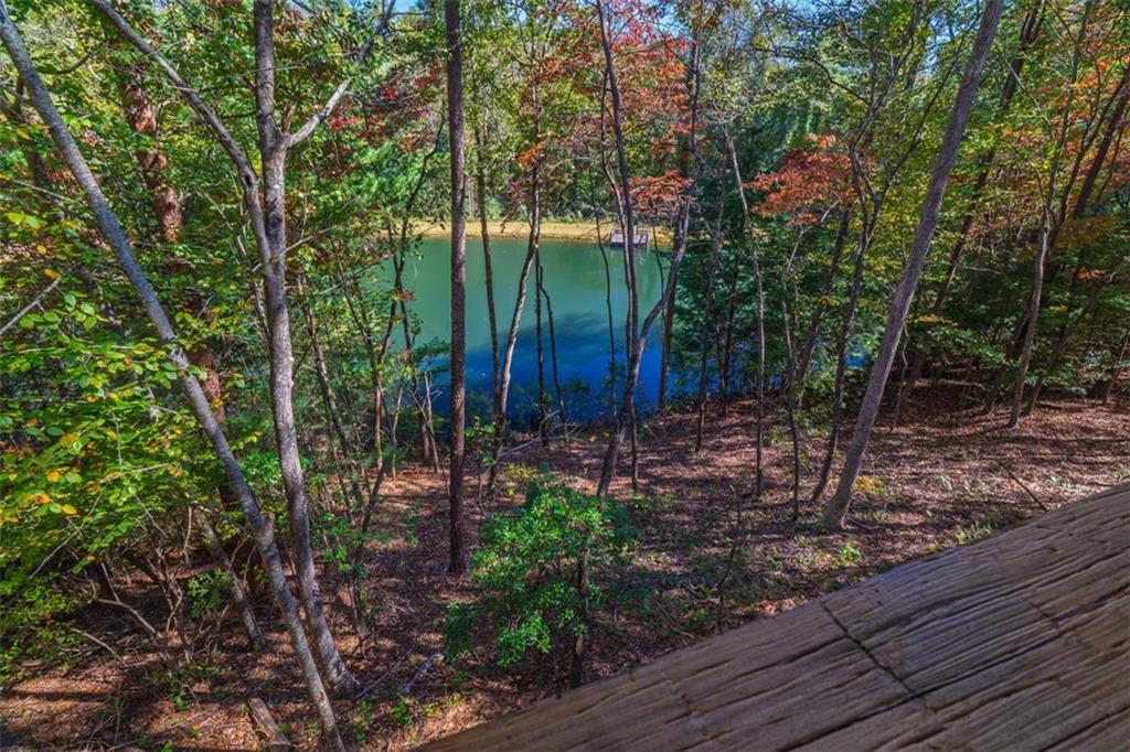 85 Moreland Trail Blue Ridge, GA 30513 - Photo 12 of 37