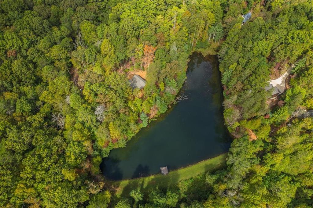 85 Moreland Trail Blue Ridge, GA 30513 - Photo 19 of 37 a view of a garden