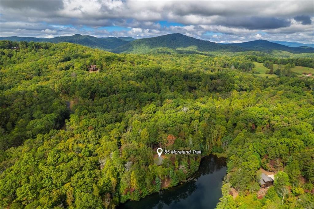 85 Moreland Trail Blue Ridge, GA 30513 - Photo 4 of 37 a view of a garden