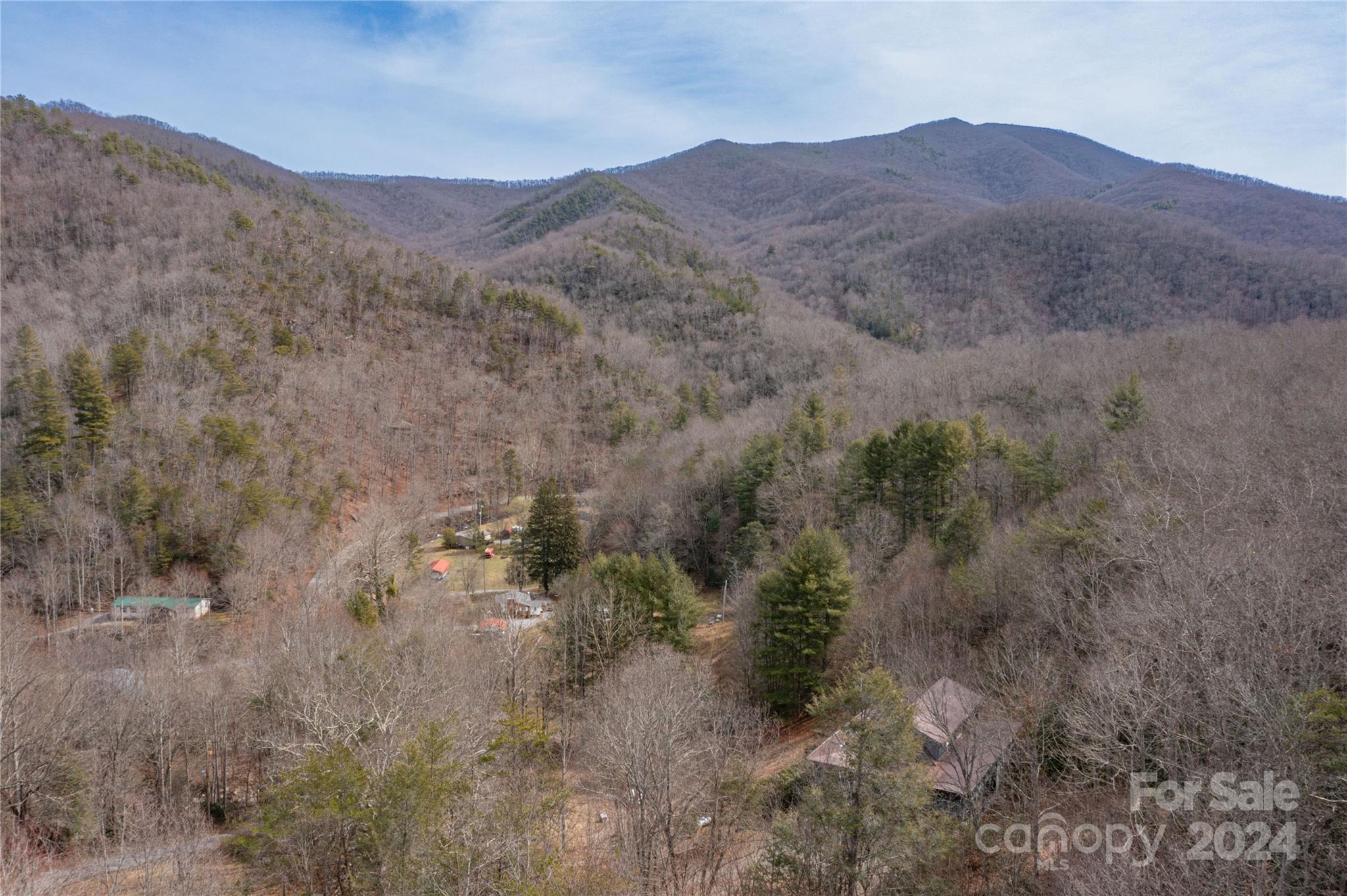 48 Houdini Trail Canton, NC 28716 - Photo 11 of 16