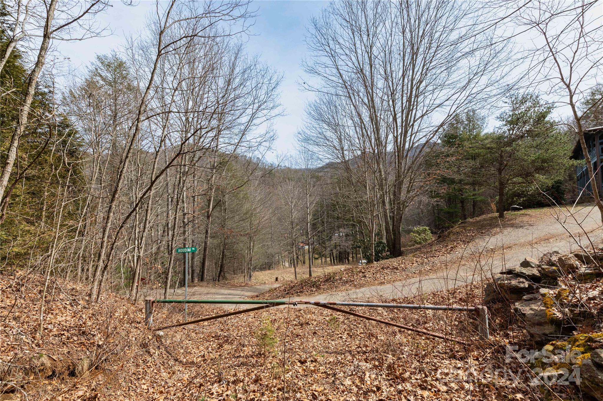 48 Houdini Trail Canton, NC 28716 - Photo 13 of 16