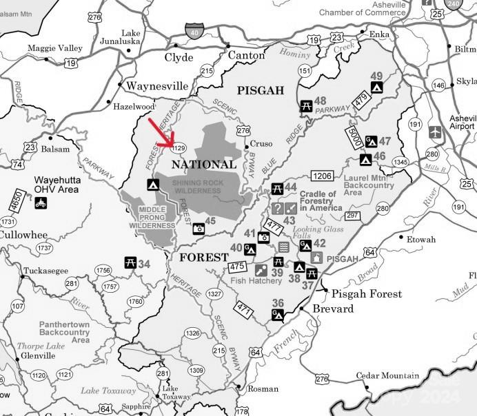 48 Houdini Trail Canton, NC 28716 - Photo 16 of 16