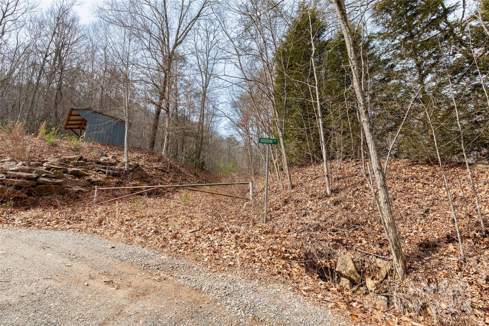 48 Houdini Trail Canton, NC 28716 - Photo 2 of 16