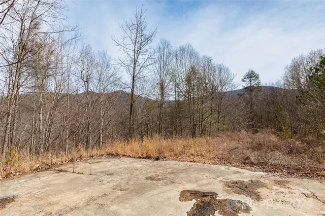 $175,000 | 48 Houdini Trail, Canton, NC 28716