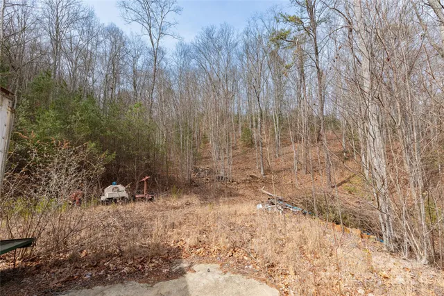 $175,000 | 48 Houdini Trail, Canton, NC 28716