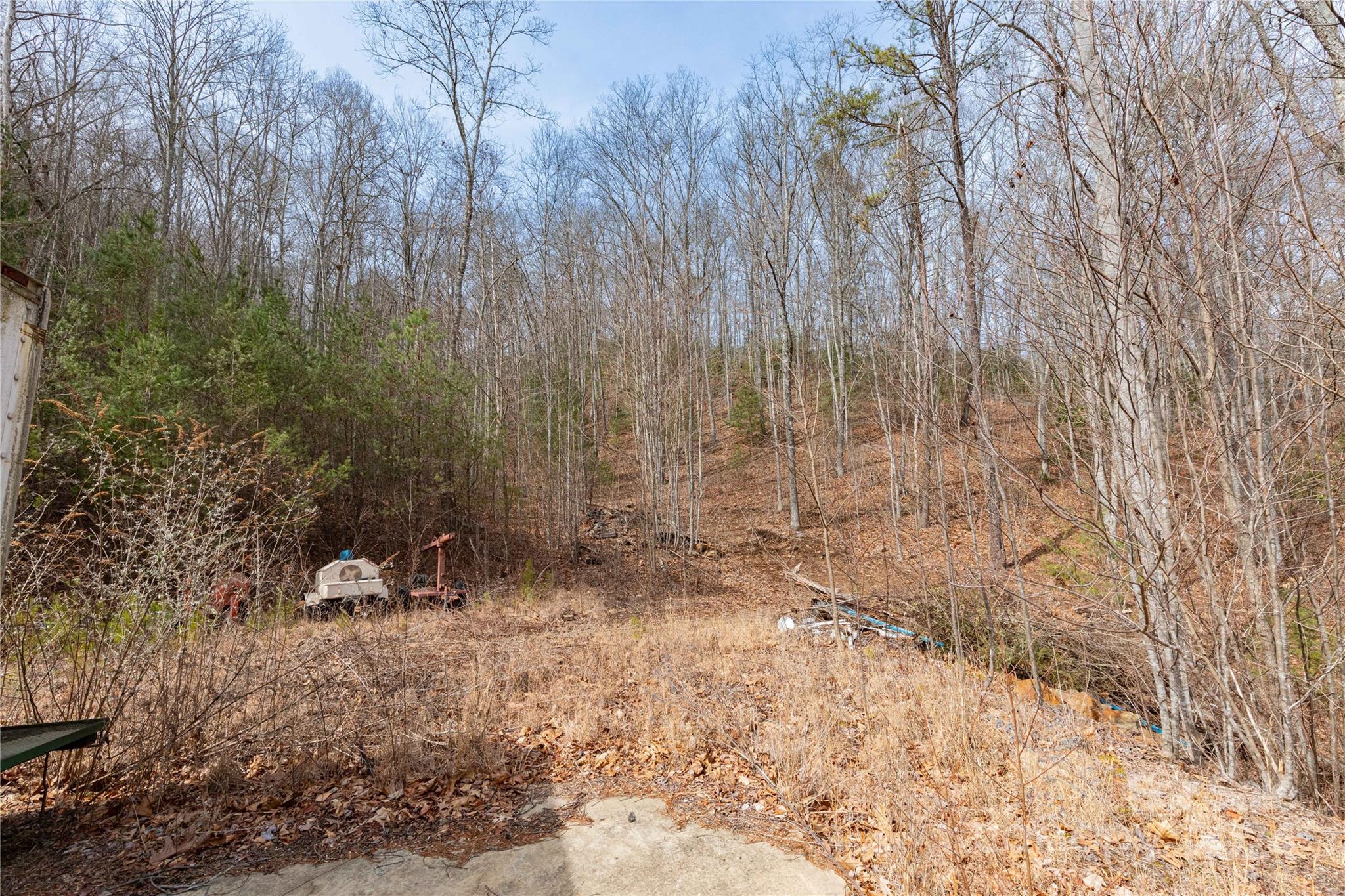 48 Houdini Trail Canton, NC 28716 - Photo 6 of 16