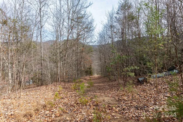 $175,000 | 48 Houdini Trail, Canton, NC 28716