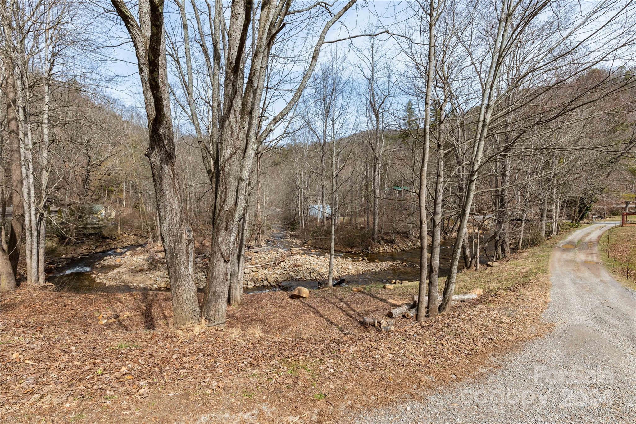 48 Houdini Trail Canton, NC 28716 - Photo 8 of 16