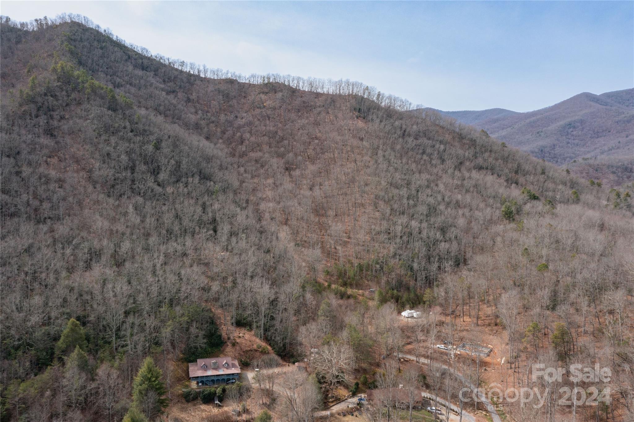 48 Houdini Trail Canton, NC 28716 - Photo 9 of 16