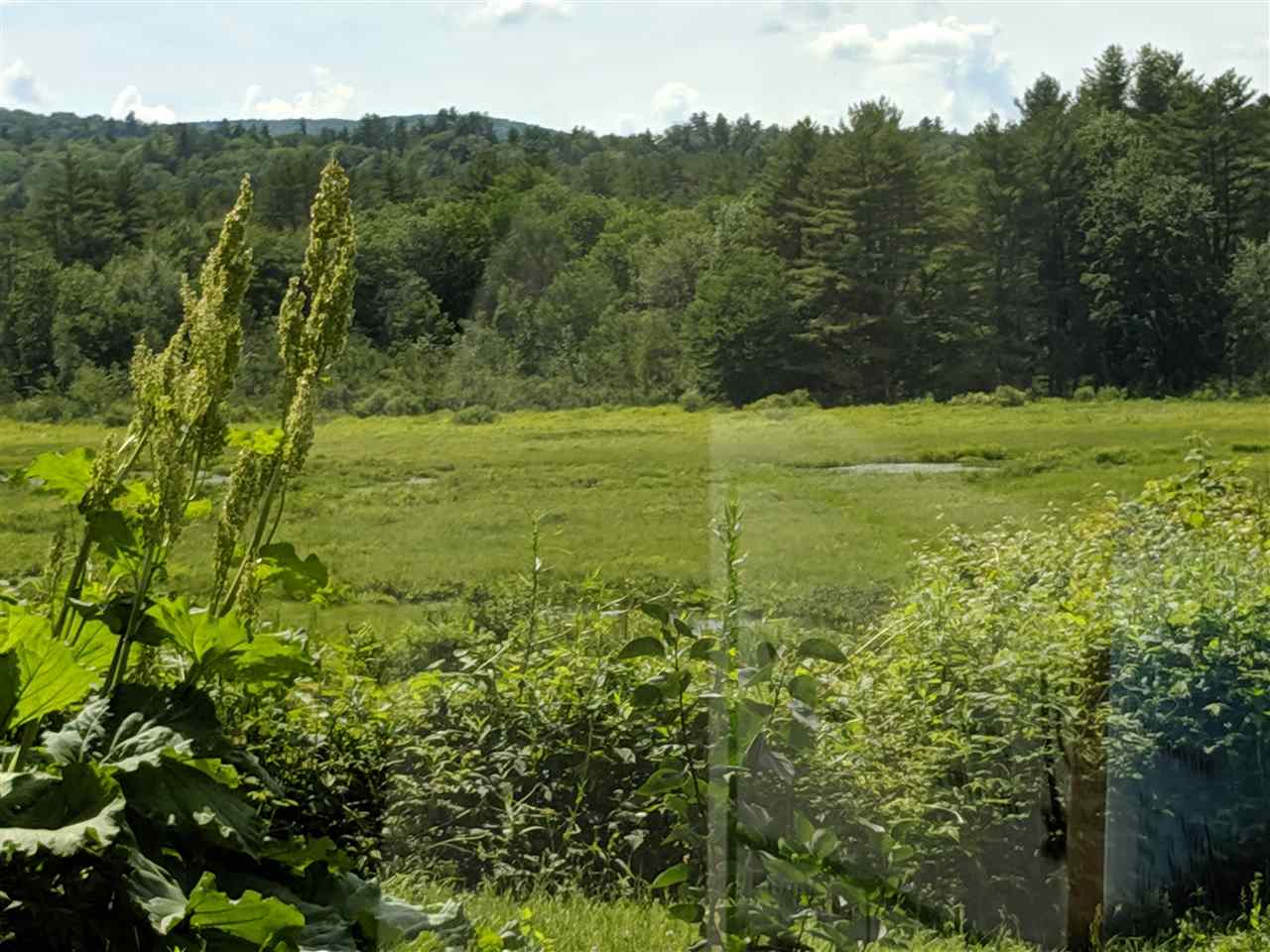 0 Foster Pond Road, Unit 4 Alexandria, NH 03222 - Photo 2 of 3 Gallery Image 2