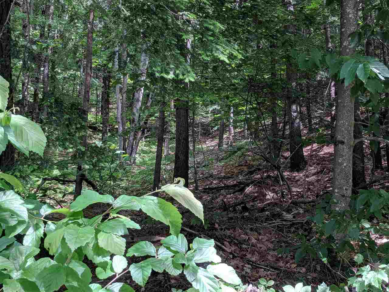 0 Foster Pond Road, Unit 4 Alexandria, NH 03222 - Photo 3 of 3 Gallery Image 3