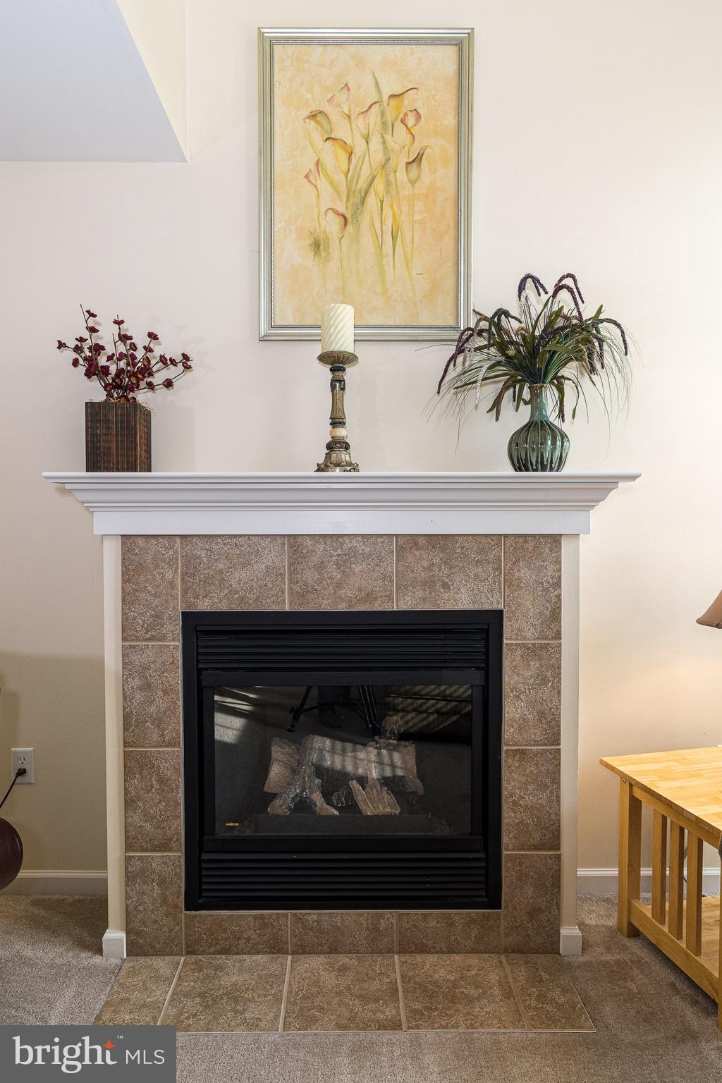 15 Hurst Boulevard Lititz, PA 17543 - Photo 8 of 32 Propane Gas fireplace for cold winter evenings
