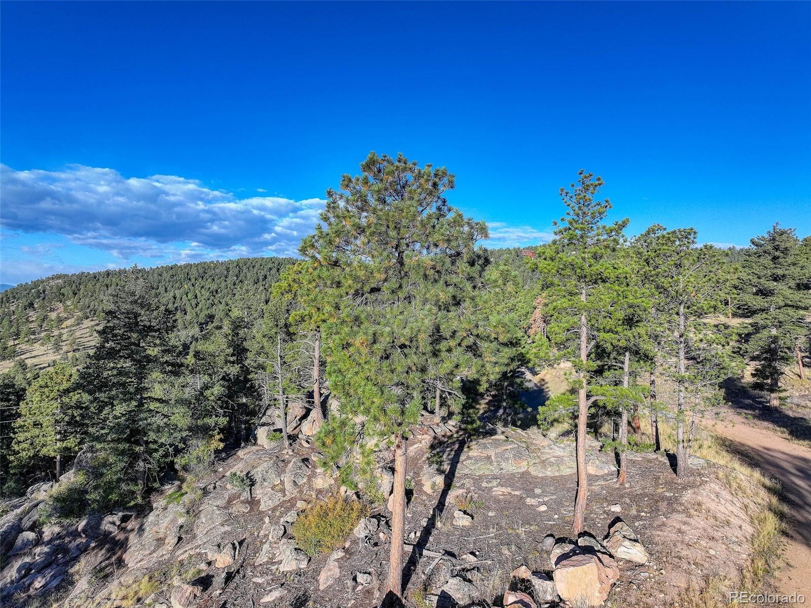 23047 Big Game Trail Conifer, CO 80433 - Photo 11 of 41