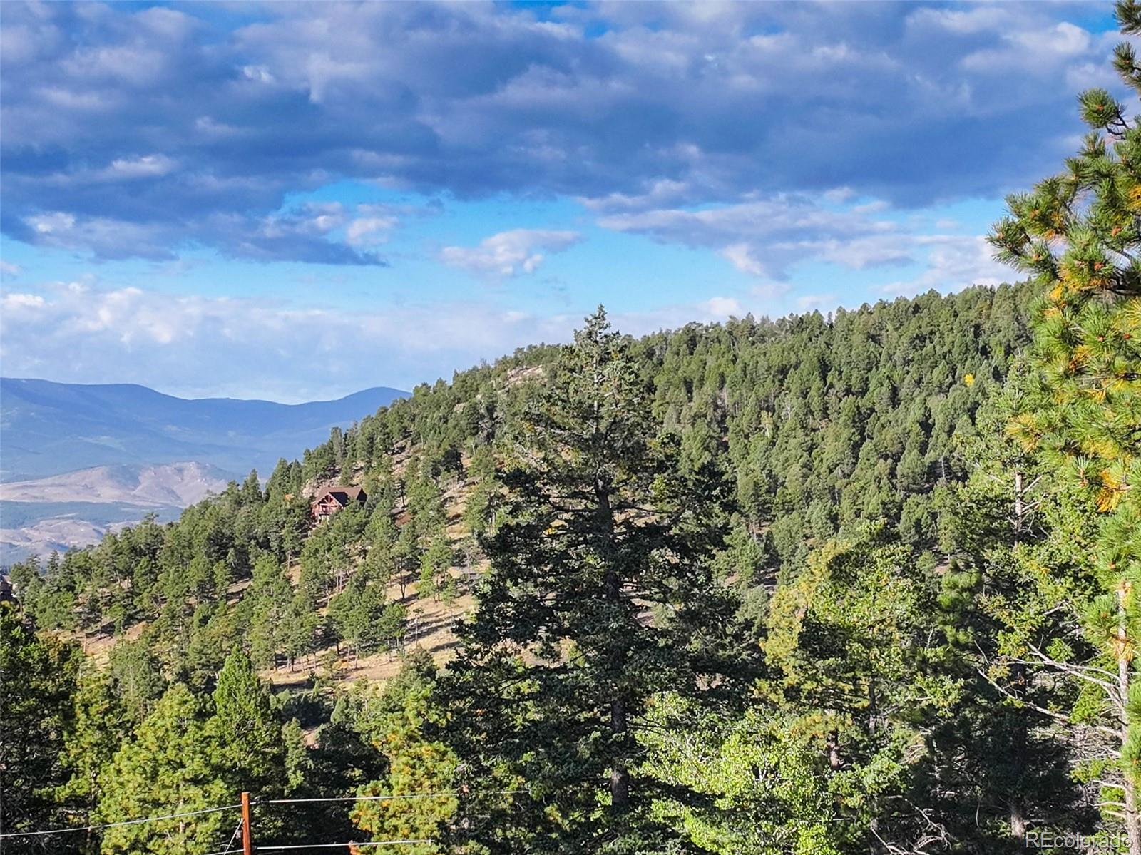 23047 Big Game Trail Conifer, CO 80433 - Photo 13 of 41 a view of a field with a tree