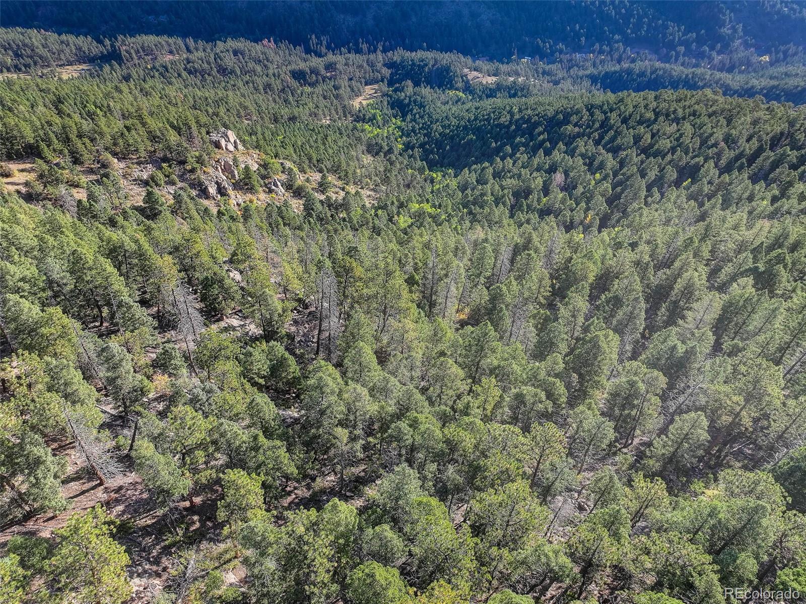 23047 Big Game Trail Conifer, CO 80433 - Photo 14 of 41 a view of a forest with a street