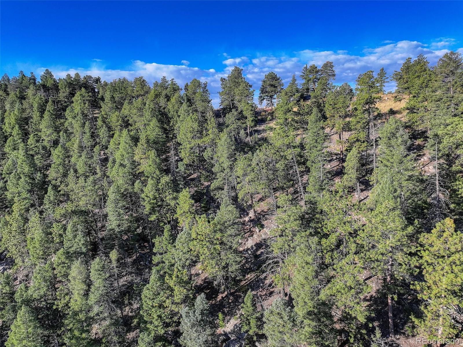 23047 Big Game Trail Conifer, CO 80433 - Photo 16 of 41 a view of a city with lush green forest