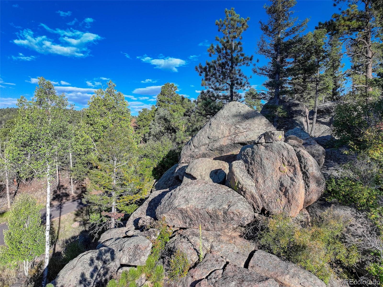 23047 Big Game Trail Conifer, CO 80433 - Photo 23 of 41 a view of a yard
