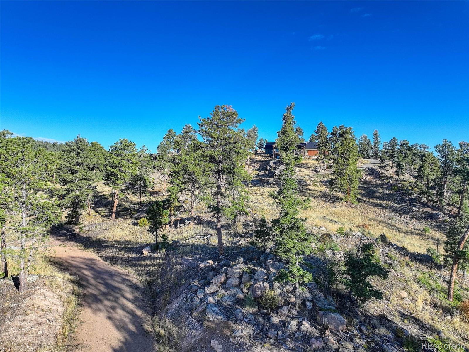 23047 Big Game Trail Conifer, CO 80433 - Photo 25 of 41 a view of a forest with a tree