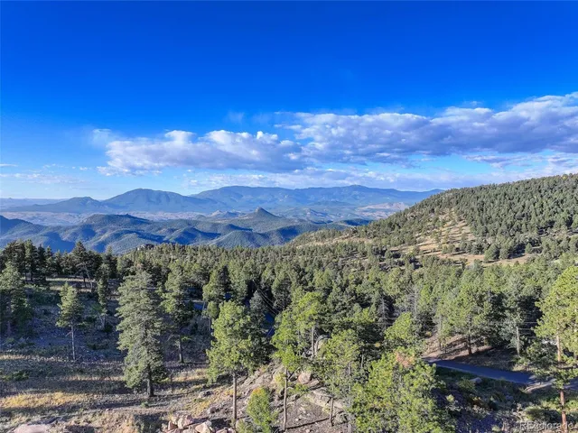 a view of a bunch of trees and bushes