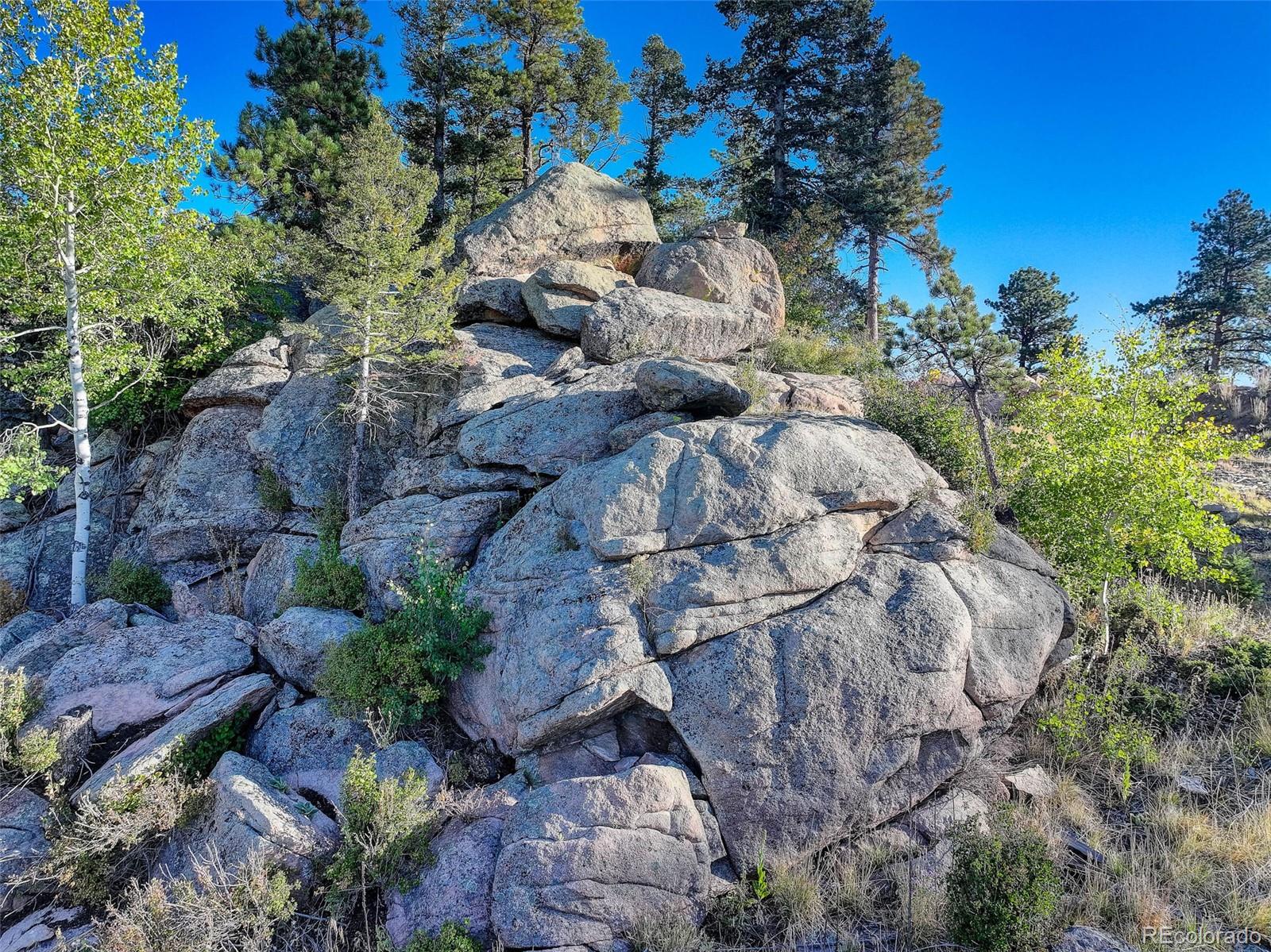 23047 Big Game Trail Conifer, CO 80433 - Photo 37 of 41 a view of a yard