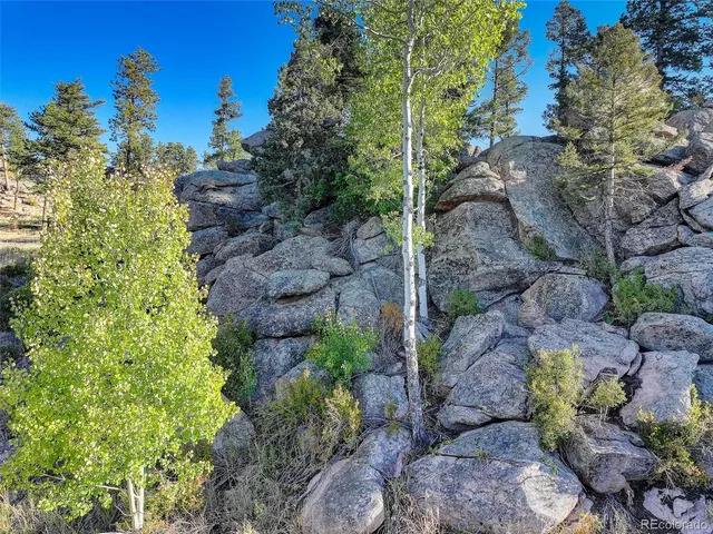 $595,000 | 23047 Big Game Trail, Conifer, CO 80433