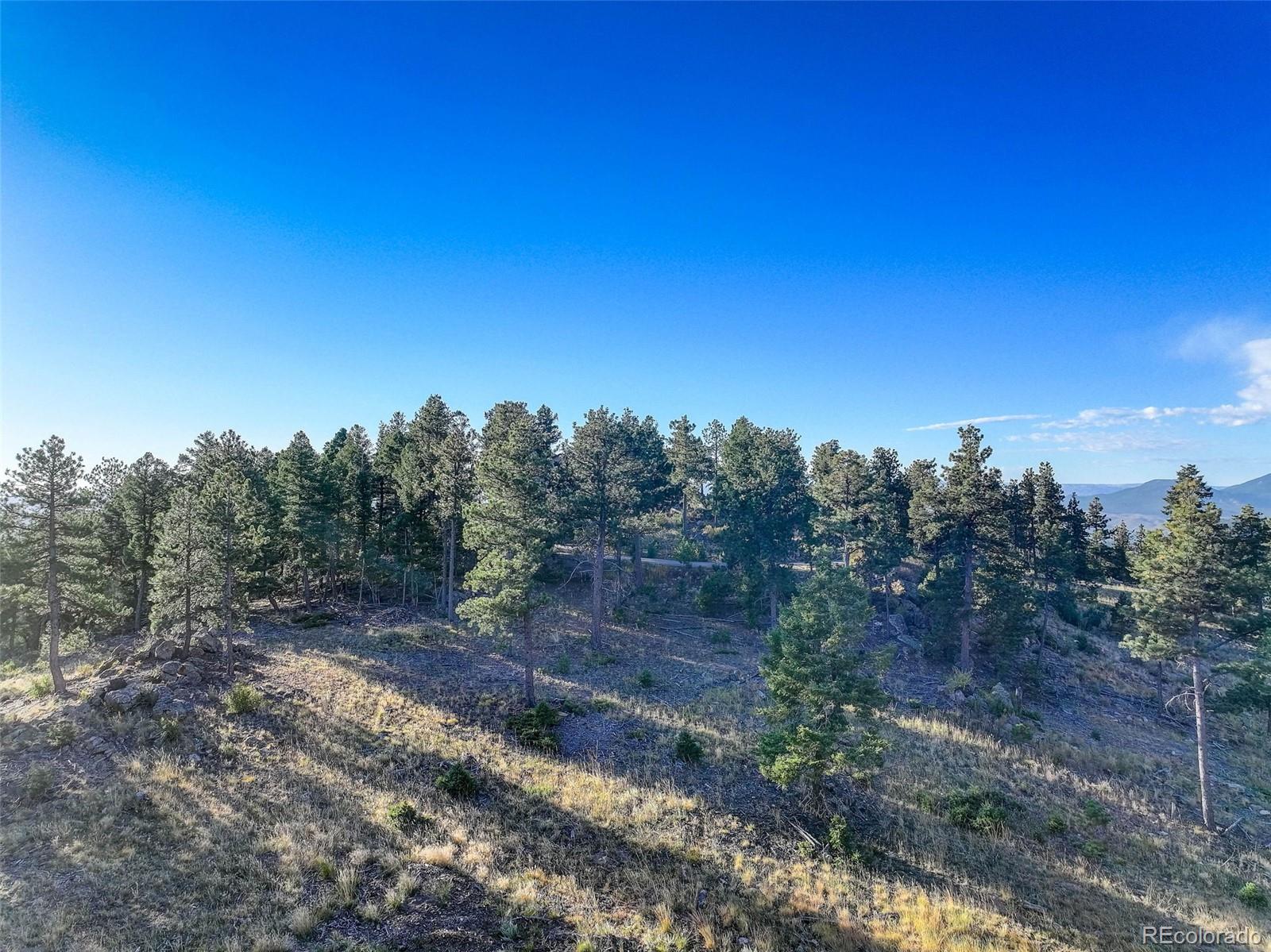 23047 Big Game Trail Conifer, CO 80433 - Photo 9 of 41 a view of a yard with a tree