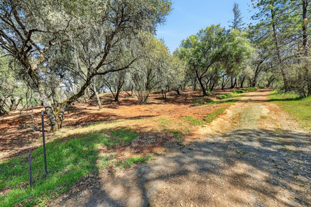 0 Clark Mountain Road Lotus, CA 95651 - Photo 36 of 47 Gallery Image 36