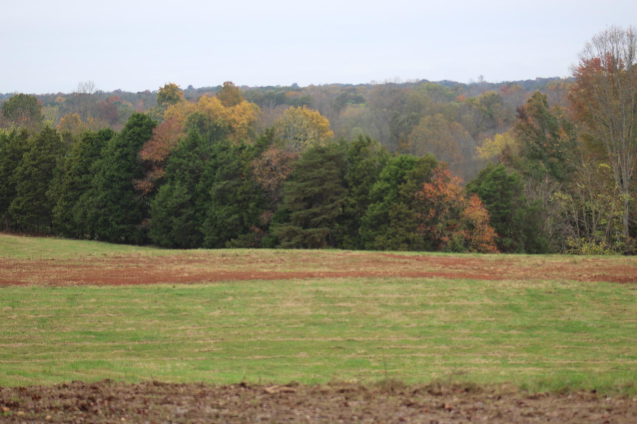 0 South Smith Chapel Road Cookeville, TN 38501 - Photo 8 of 13 Gallery Image 8